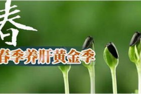 春季肝气旺盛怎么办？春季养肝护肝小妙招