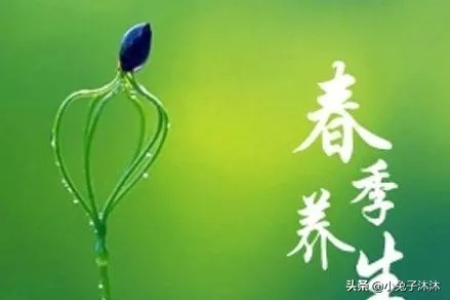 春天要健康：这份春季养生指南助你轻松拥有好身体