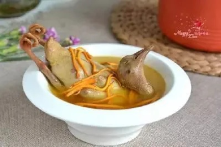 冬季进补养生秘诀：“一鸽胜九鸡”的鸽子汤食谱推荐