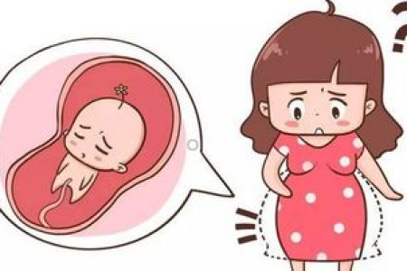 孕期肥胖危害非常多，健康孕期从体重管理开始！