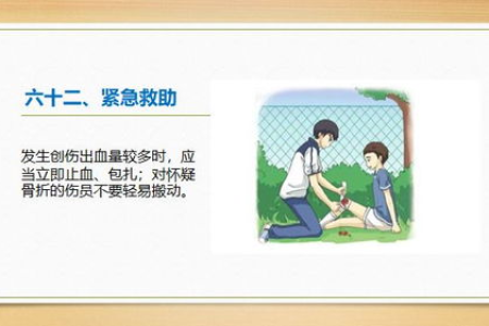 预防肥胖要从小事做起：养成健康好习惯，远离肥胖风险