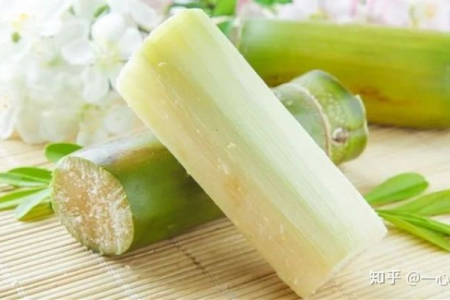 一根甘蔗热量是多少？吃甘蔗会不会长胖？