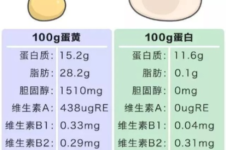 每天吃一个鸡蛋，热量有多少？营养师权威解答！