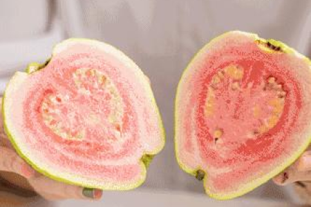 一个芭乐的热量是多少？减肥期间可以吃芭乐吗？