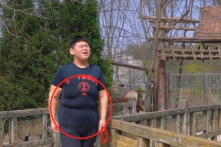 想胖都难？三大瘦身法帮你轻松减肥，健康瘦身