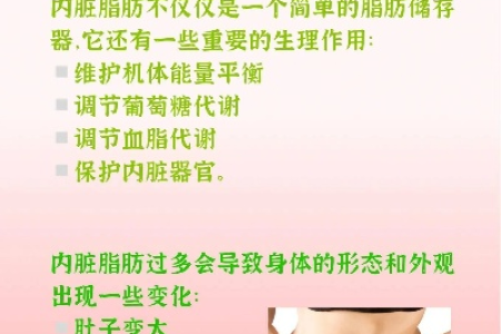 四招减内脏脂肪彻底瘦身 医生推荐的健康瘦腹法