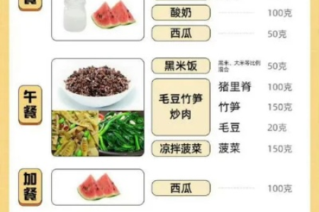 瘦身宝典怎样减肥甩脂又健康三餐食谱大公开