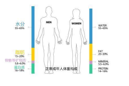 如何快速减掉20斤体重 避开这些误区瘦得更快