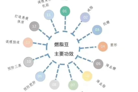 燃脂豆减肥是什么原理 揭秘小豆子的大瘦身奥秘