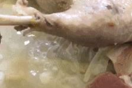 秋冬季懒人必备减肥小妙招 简单有效不挨饿