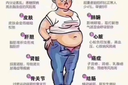 胖子没有未来如何改变命运从减肥开始