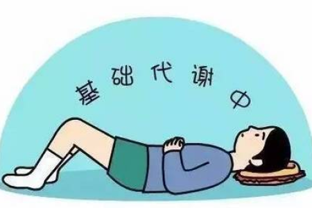为什么说每日总热量不变是减肥的关键