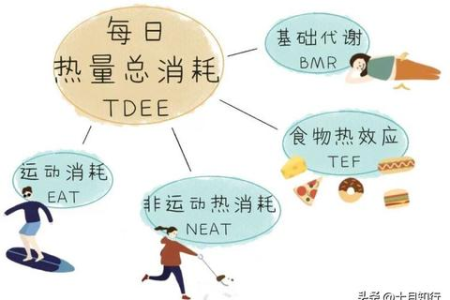 节食减肥会反弹吗 医生告诉你健康减重不反弹的秘诀