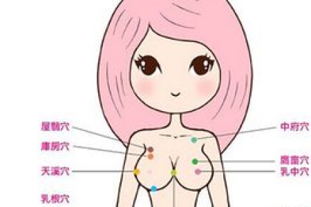 健康有效的丰胸美乳招数 饮食加运动双管齐下
