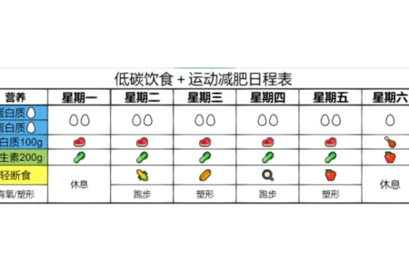 健康减肥需确立减肥计划 新手必看的饮食运动安排表