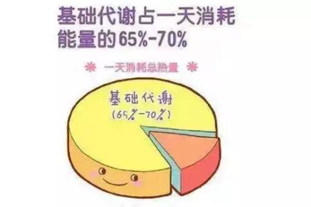 减肥必看如何提高代谢 3个习惯加速燃脂