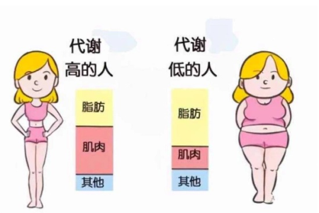 加快新陈代谢的方法坚持这几点让你轻松瘦身