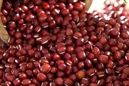 红小豆怎么吃减肥最快 营养师推荐这几种方法
