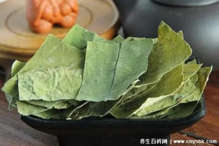 干荷叶配什么减肥更快 5种食材搭配效果翻倍