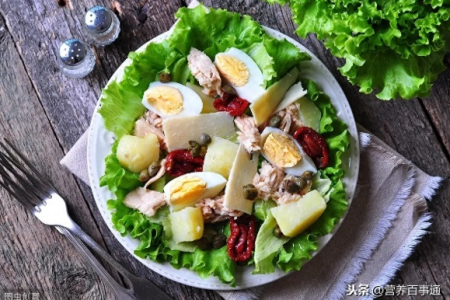 春季减肥食谱推荐3款快手减脂餐营养又美味