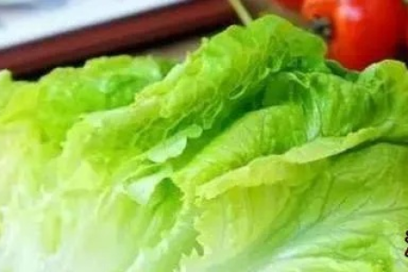 吃生菜球可以减肥吗 健康瘦身必备食材