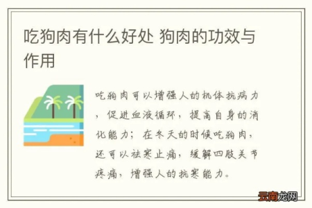吃狗肉能减肥吗 这种减肥方法靠谱吗