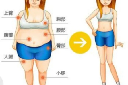 不同部位肥胖如何有效减肥 快速瘦腰瘦腿秘诀